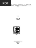 Download Pengaruh Tiga Inokulan Bakteri Rhizobium Terhadap Pembentukan Bintil Akar Tanaman Kedelai by Dhias Lupita SN163656660 doc pdf