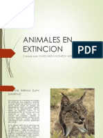 Animales en Extincion