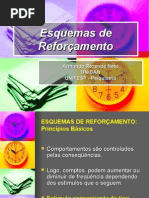 Esquemas de Reforçamento - Skinner