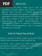 Meiose Celular