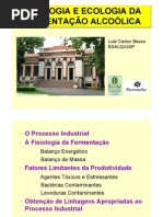 Fermentação alcoolica