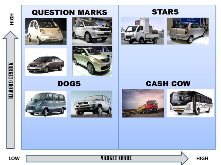 BCG Matrix Tata Motors PDF