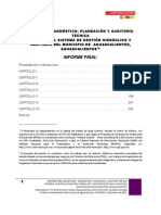 Informe Final Auditoría Técnica Concesionaria de Agua Potable de AGS Completo