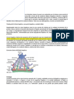 Resumen Hepatitis