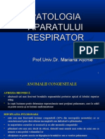 Curs 3 - Patologia Respiratorie