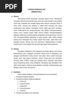 Download LP Meningocele by Reza Fitra Kusuma Negara SN163845314 doc pdf
