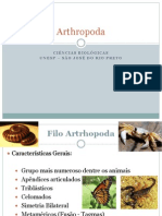 Arthropoda Filo em