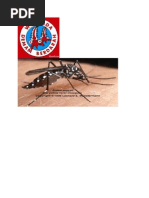 Download Gambar DBD by Etn Centre SN163863310 doc pdf