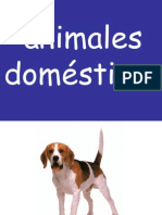 2 Animales Domc3a9sticos