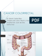 28 - 2R Cancer de Colon, Recto y Ano