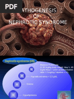 Download Pathogenesis of Nephrotic Syndrome by Hari Mukti SN16387756 doc pdf