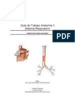 Guia de Trabajo Sistema Respiratorio I 2013