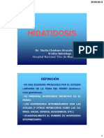 Hidatidosis SM