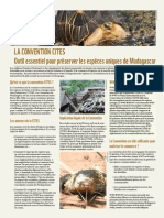 La convention CITES - Outil essentiel pour préserver les espèces uniques de Madagascar (WWF)