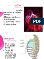 Resumen Corazon