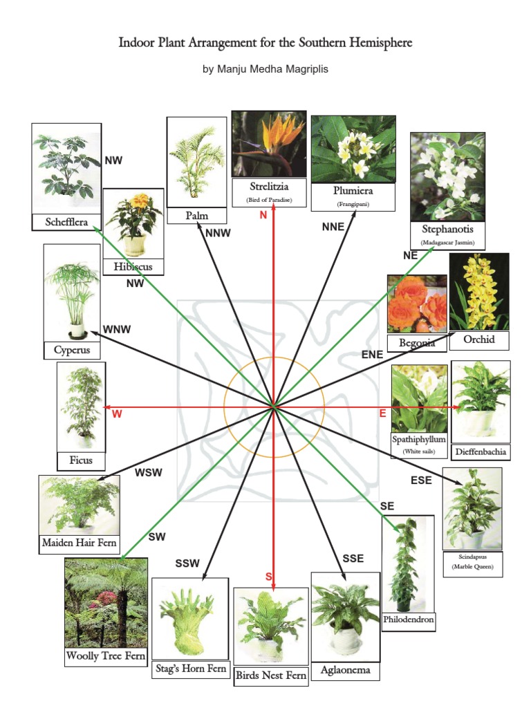 Vastu Indoor Plants Vastu Indoor Plants PDF