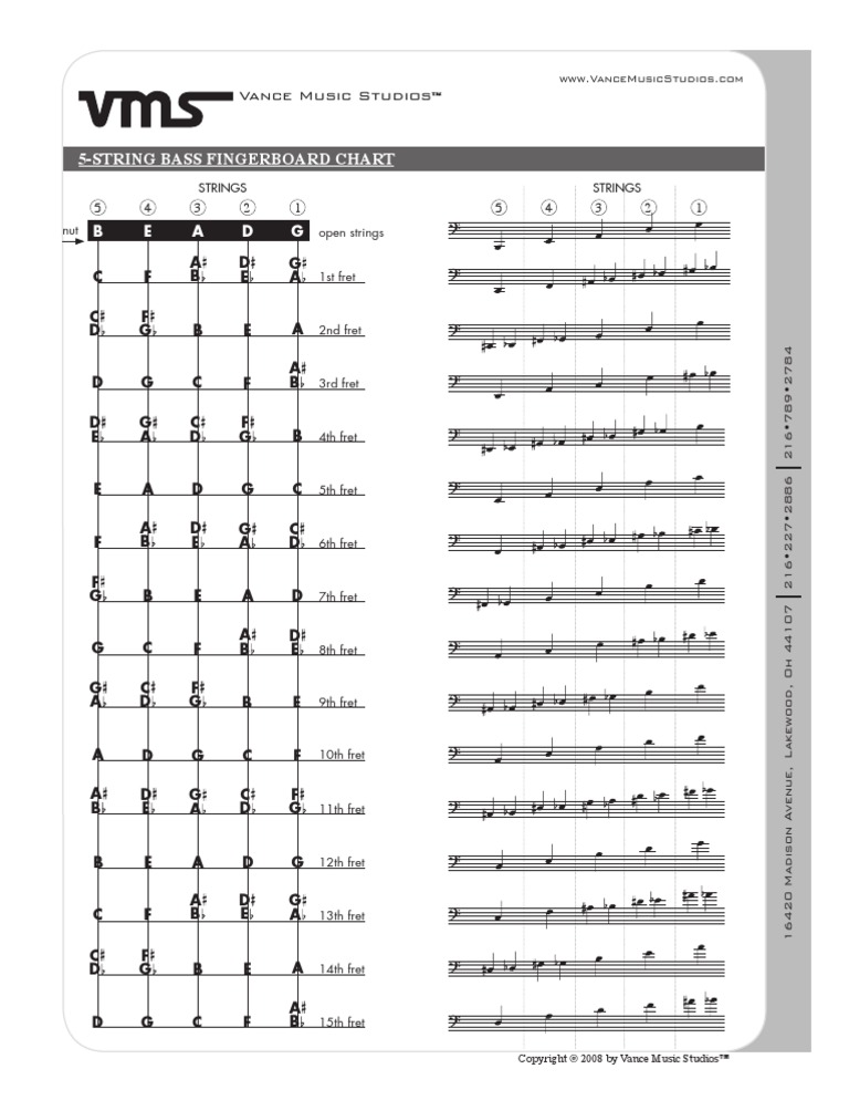 5 String Bass | PDF