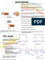 Hyperuricemia