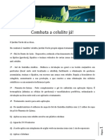 Combata A Celulite Já! PDF