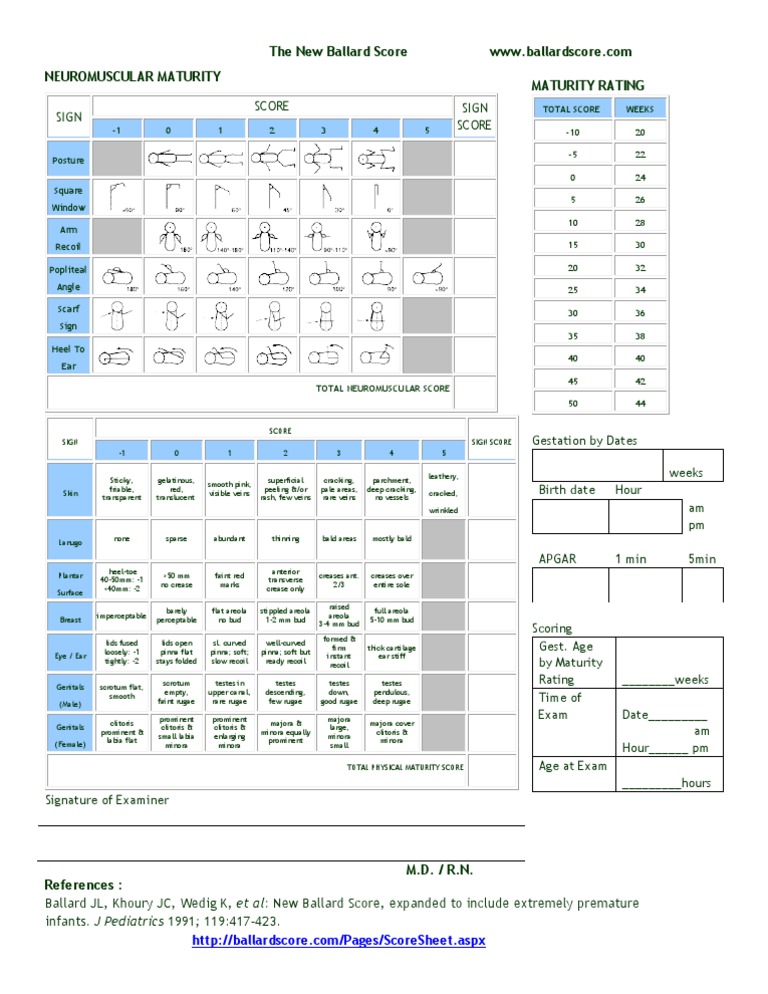 BallardScore ScoresheetBallardScore Scoresheet