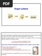 Organ Culture SMP