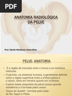 Anatomia Radiologica Da Pelve