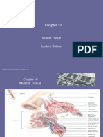 Muscle Tissue: Principles of Human Anatomy and Physiology, 11e 1