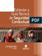 Estandares Seguridad Conductual