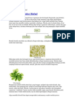 Download Alga Sebagai Sumber Biofuel by Dhyana Muthgladits SN164094963 doc pdf