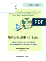 Manual Arcgis Basico