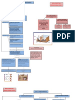 Mapas Conceptuales Aec