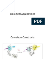 Biological Applications