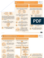 Tarjeta Sufrimiento Fetal