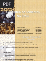 TB 11 - Industria de Sementes No Brasil