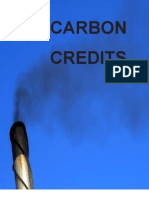 Carbon Credits