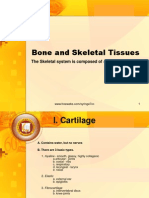 Cartilage and Bones