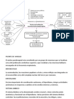 Técnica de Facilitación Neuromuscular Propioceptiva