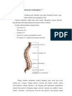 Anatomi Dan Fisiologi Vertebrae 1