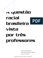 questão racial (1)