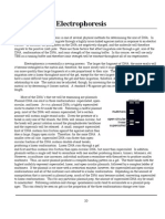 15 Electrophoresis