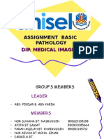 Assignment Basic Pathology Dip. Medical Imaging