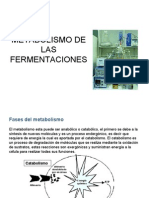 TEMA 15.Metabolismo de Las Fermentaciones