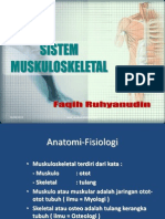 kul_anatomi-fisiologi-muskuloskeletal.ppt