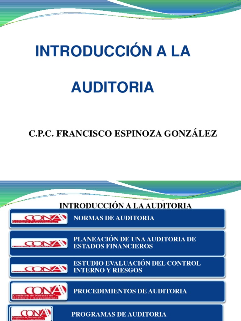 Normas y Proceso de Auditoría en México | PDF | Auditoría financiera ...