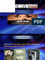Cocaina.2013