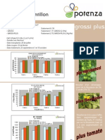 Potenza Reverso Grossi Plus