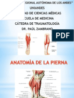 Anatomia de La Pierna