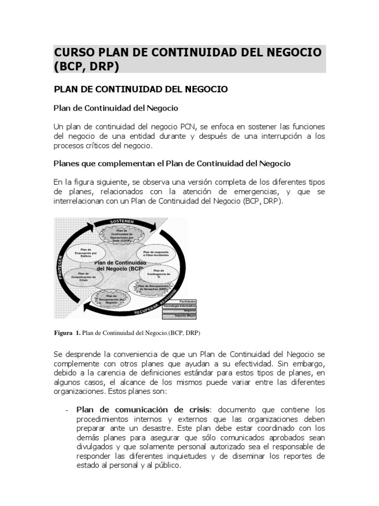 Curso de Plan de Continuidad del Negocio | PDF | Informática
