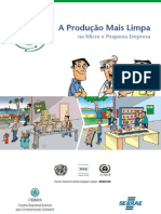 A_Produção_Mais_Limpa_na_Micro_e_Pequena_Empresa[1].pdf