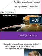 Slide Fisiologia Da Dor